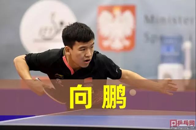 欧协联前瞻：水晶宫近况回暖冲击三连胜，舒尔本遭遇赛事三连败