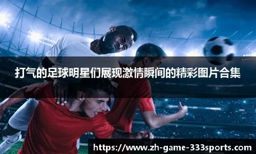 体系化检